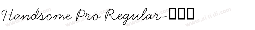 Handsome Pro Regular字体转换